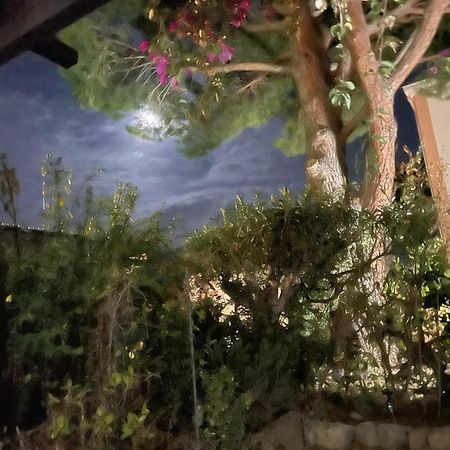 Studio Bandol Avec Jardin Exterior foto